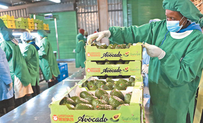 ????????? ?????? ???? ??? ?????????? ????????