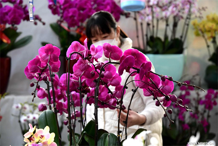 ?????? ????? ?????? ?? ????? ????? ?? ???? ??? ????? ???????