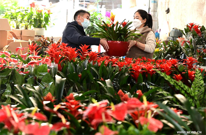 ?????? ????? ?????? ?? ????? ????? ?? ???? ??? ????? ???????