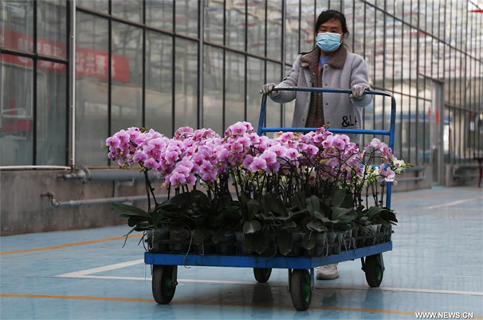 ?????? ????? ?????? ?? ????? ????? ?? ???? ??? ????? ???????