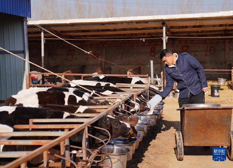 ??????: ???? ????? ???? ?????? ?????? ??????? ?? ?????? ????? ??????? ??? ???????