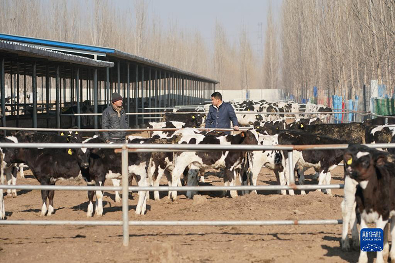 ??????: ???? ????? ???? ?????? ?????? ??????? ?? ?????? ????? ??????? ??? ???????