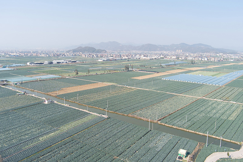 ??? ???? ?? 4 ???? ?? ?????? ?????? ???? ???? ???????? ?? ?????