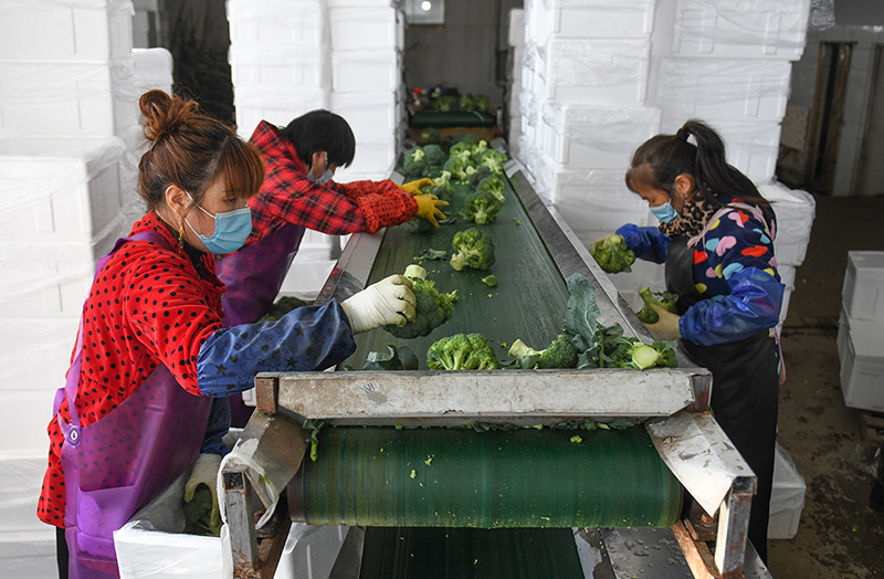 ??? ???? ?? 4 ???? ?? ?????? ?????? ???? ???? ???????? ?? ?????