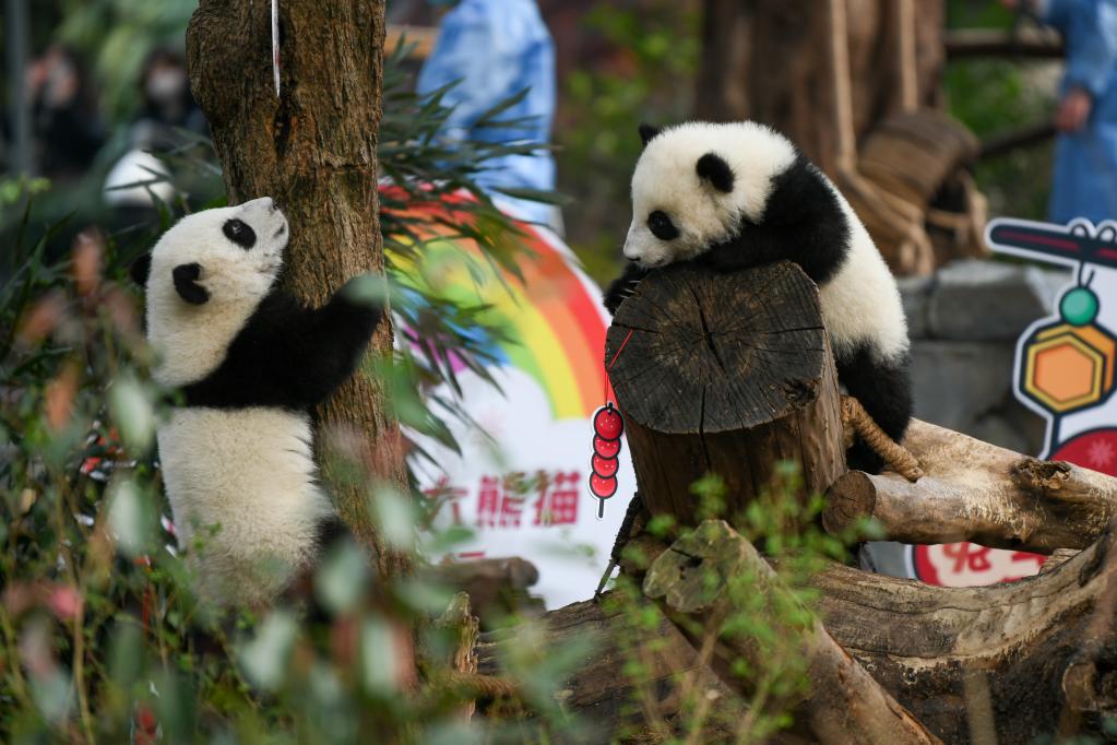 ??????? ??????? ???????? ????? ?????? ???? ???? ????? ?????? ?? ???? ???? ?????