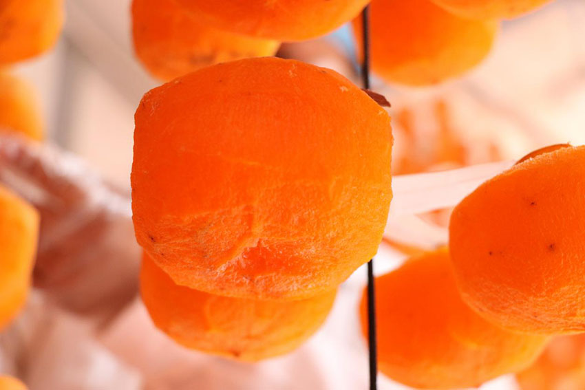 ????? ??????? ???? ??? ????? ????????? ?? ?????? ?? ????