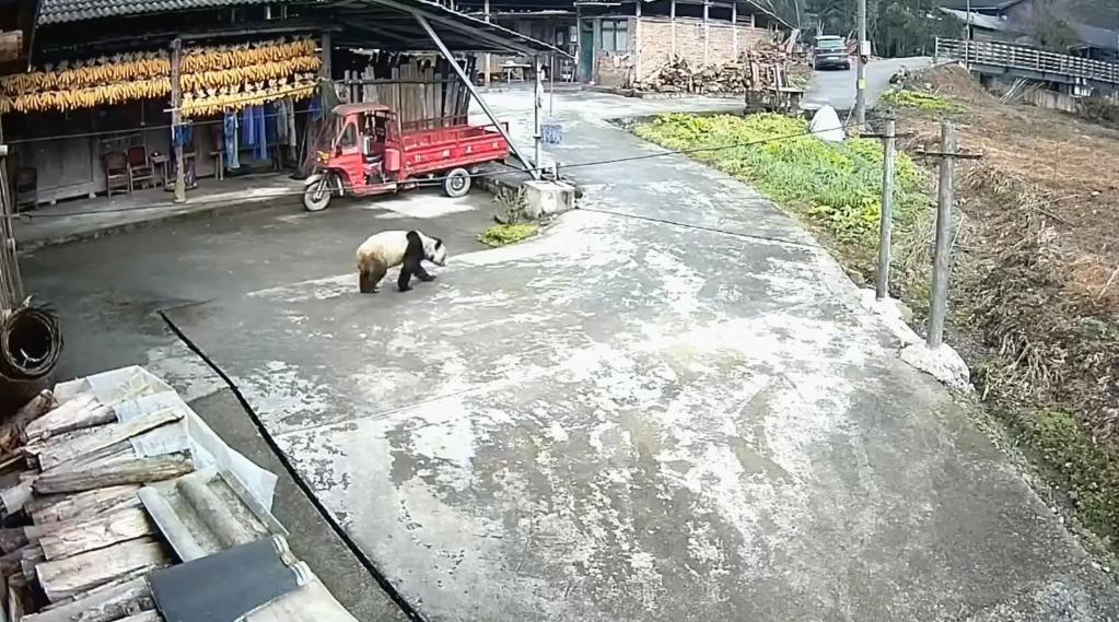  ????? ????? ?????? ??? ?????? ???? ???? ???? ?? ?????? ??????? ????? ???? ?????