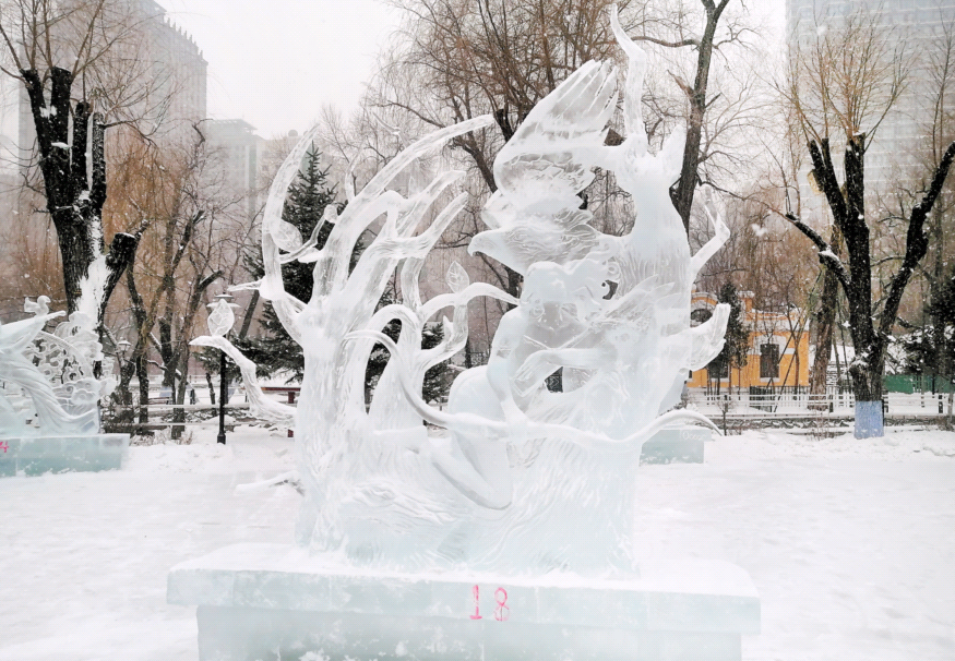 ?????? ?????? ????? ??? ?????? ?? ????? ??????