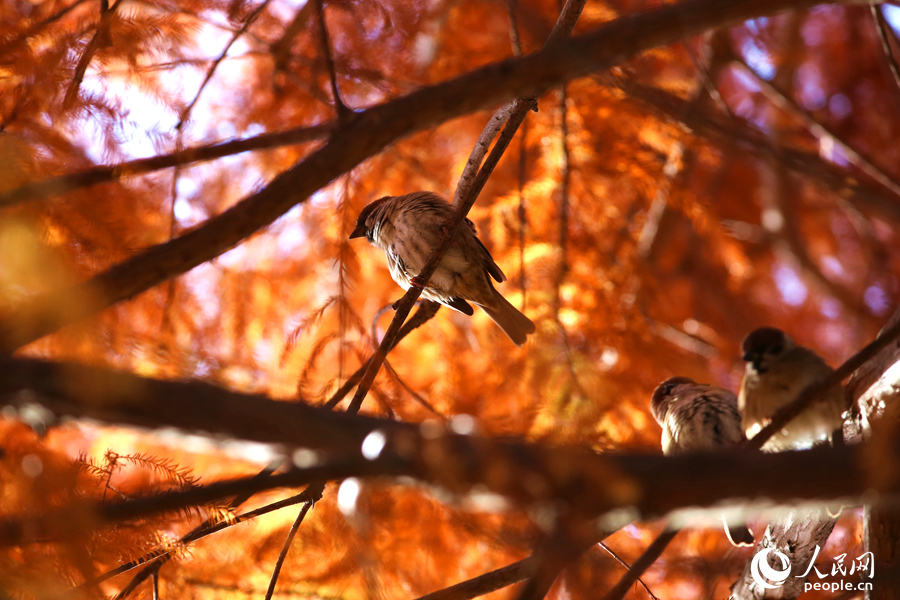 ????? ???????? ???? ????? ????? ??? ???? ???????? ?? ?????