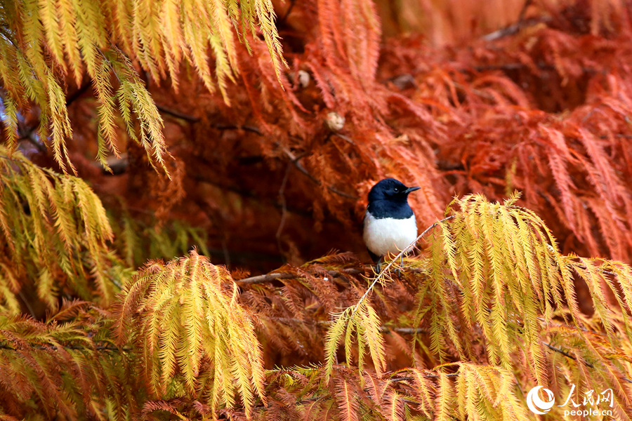 ????? ???????? ???? ????? ????? ??? ???? ???????? ?? ?????