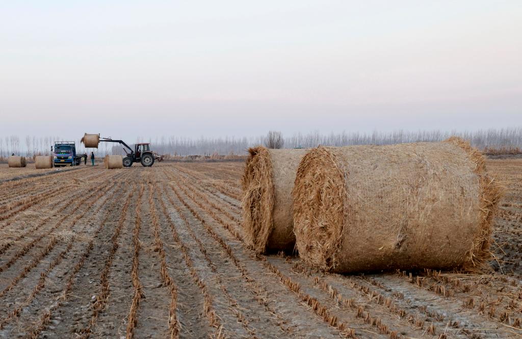 ????? ???? ??? ????? ????? ?? ???? ????? ?????? ?????? ?????