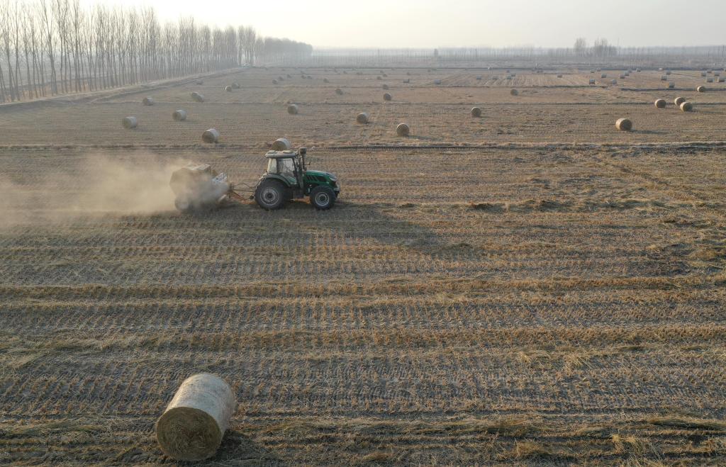 ????? ???? ??? ????? ????? ?? ???? ????? ?????? ?????? ?????