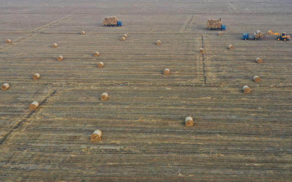 ????? ???? ??? ????? ????? ?? ???? ????? ?????? ?????? ?????