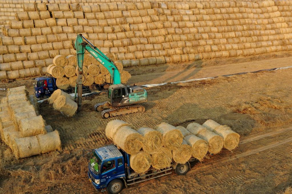 ????? ???? ??? ????? ????? ?? ???? ????? ?????? ?????? ?????