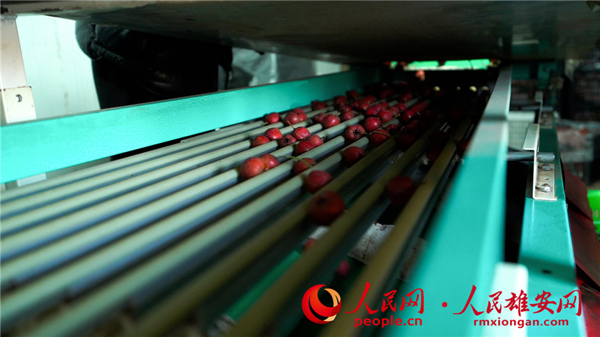 ??????? ???????? ???? ??? ?????? ?? ?????