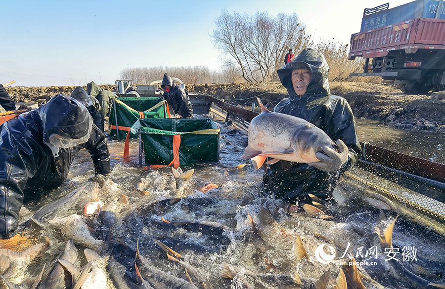 ?????? ??? ???????? ????? ???? ?? ????? ???????? ??? ??????