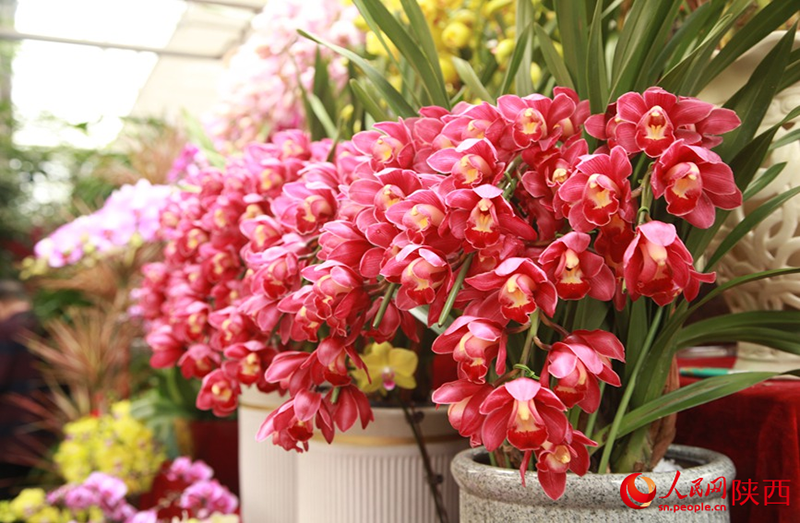 ???? ???? ??????? ??? ?????? 