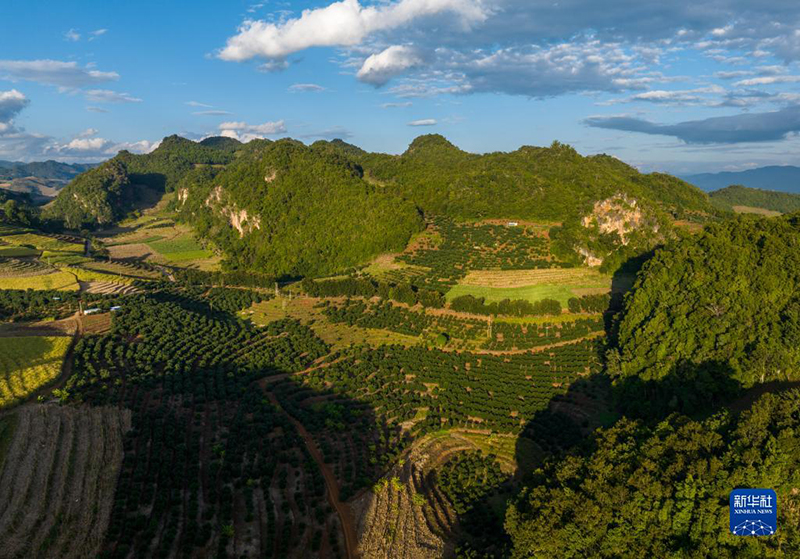 ?????? ??????? ???????? ????? ??? ???? ????? ?????? ????????? ?? ?????