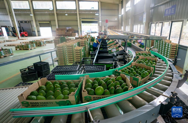 ?????? ??????? ???????? ????? ??? ???? ????? ?????? ????????? ?? ?????