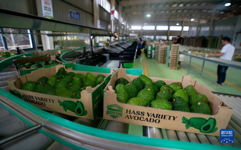 ?????? ??????? ???????? ????? ??? ???? ????? ?????? ????????? ?? ?????