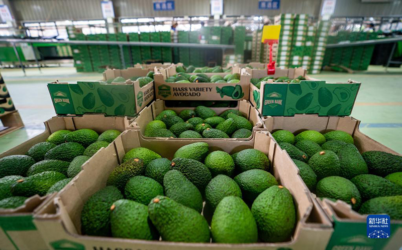 ?????? ??????? ???????? ????? ??? ???? ????? ?????? ????????? ?? ?????