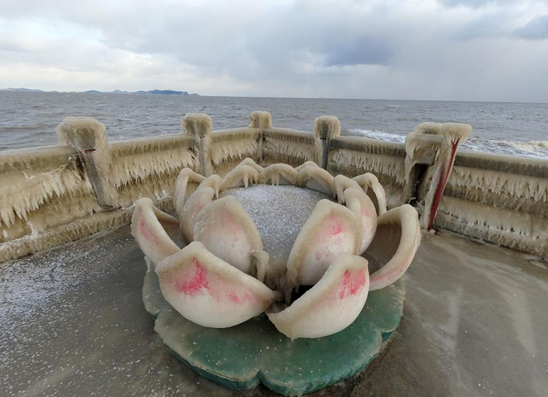 ?? ???????: ?????? ???????? ??? ???????? ?????? ??? ?? ????