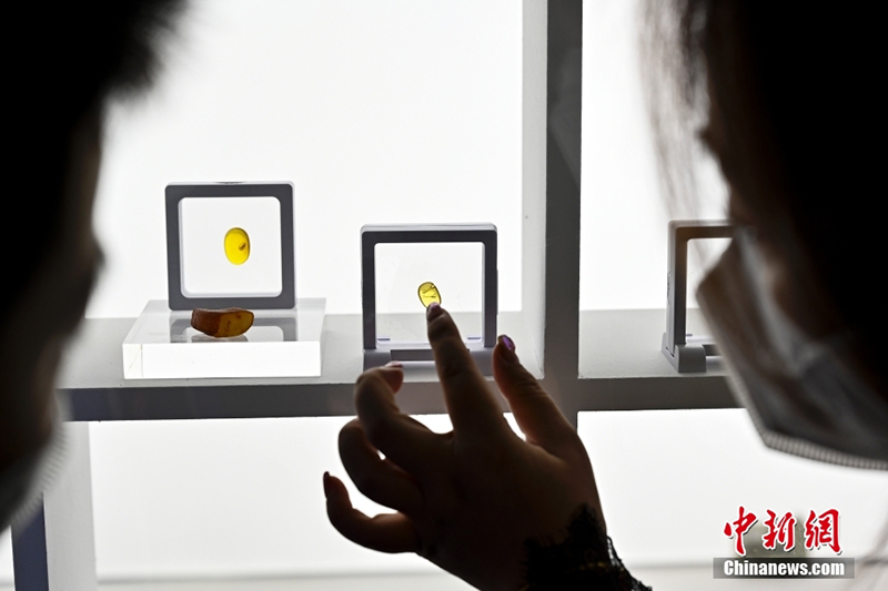 ???? ?? 700 ???? ?? ??? ?????? ???? ?? ???? ?????????