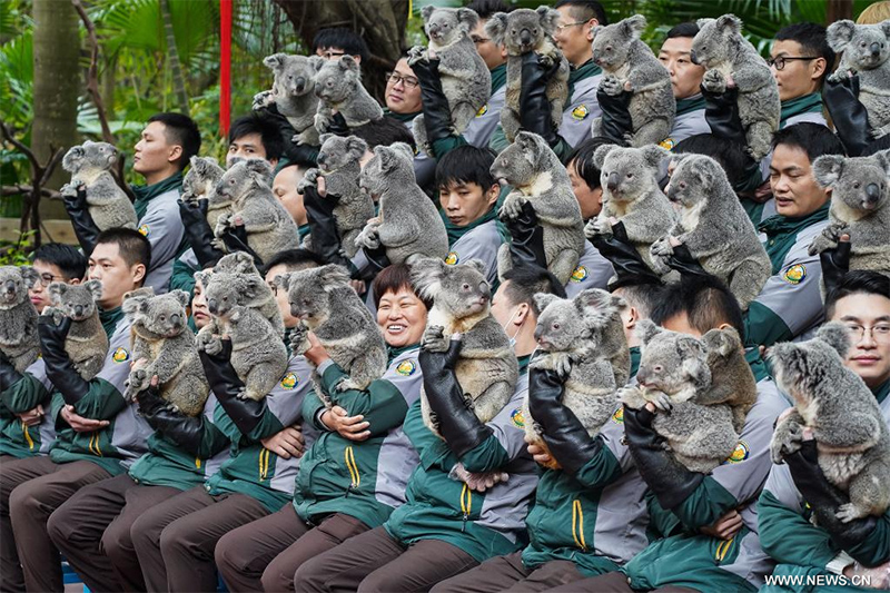 ?????: ????? ??? ?????? ?? ???????? ???????