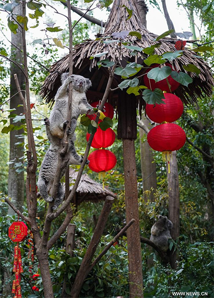 ?????: ????? ??? ?????? ?? ???????? ???????