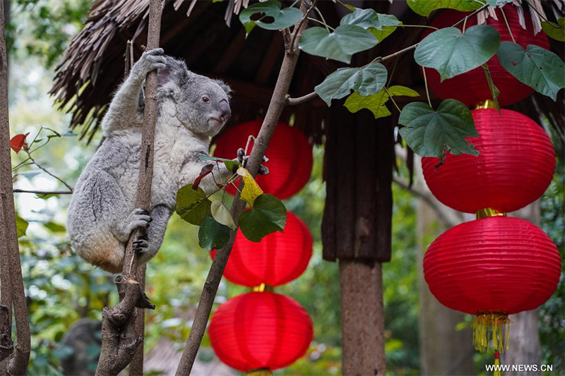 ?????: ????? ??? ?????? ?? ???????? ???????