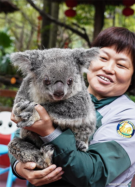 ?????: ????? ??? ?????? ?? ???????? ???????