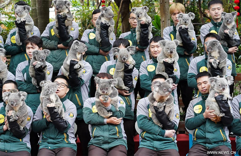 ?????: ????? ??? ?????? ?? ???????? ???????