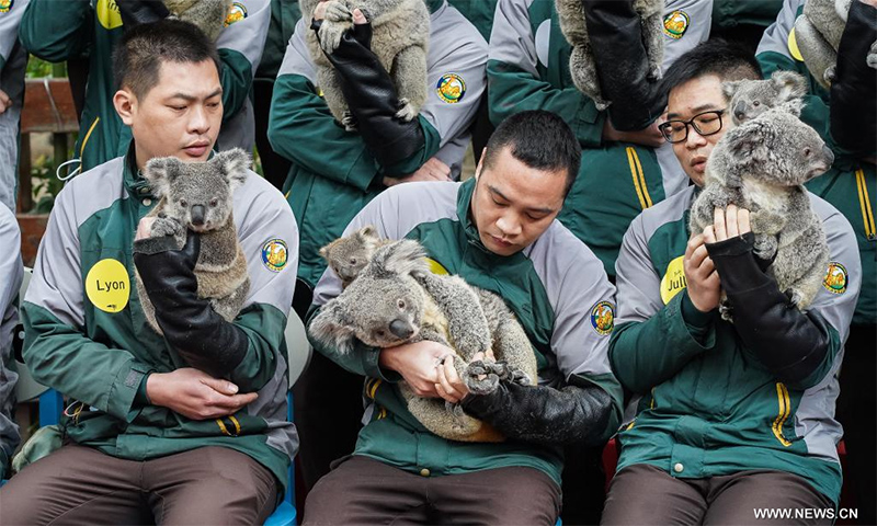 ?????: ????? ??? ?????? ?? ???????? ???????