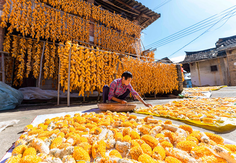 ?????? ?? ??????? ?? ????? ???? ?? 