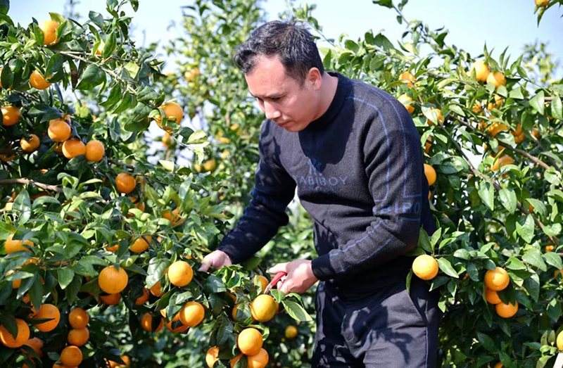 ?????? ?? ??????? ?? ????? ???? ?? 