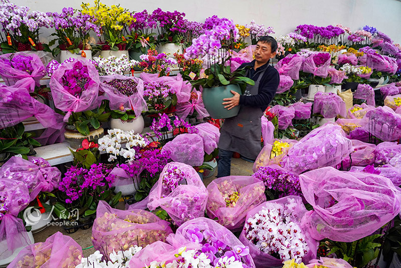 ???? ????? ???? ?? ????? ??????? ?? ?????? ???? ??? ??????