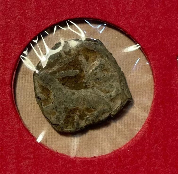 ????? ??????: ???? ??????? ??????? ???? ??? ???????? ??? ???? ?????? ??????