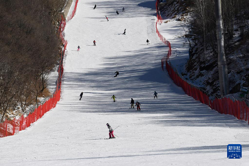 ?????? ????? ?? 300 ????? ???? ????? ?? ????? ???? ???? ??? ??????