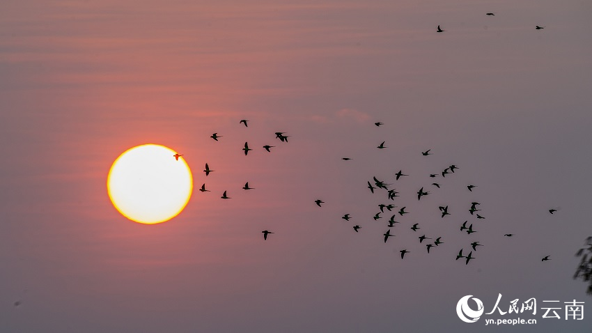 ????? ????? ?????? ??????? ..  ???? ????????? ??????? ?? ???? ?????