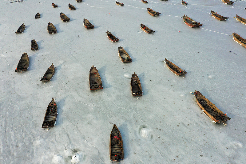 ????? ?????? ..  ???? ???? ?????? ??? ????? ??? ??? ????? ???????