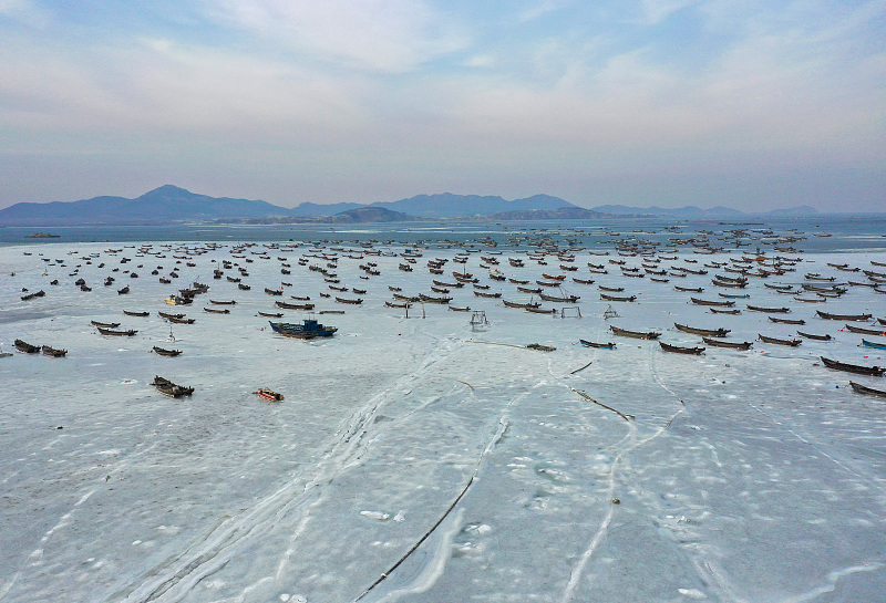 ????? ?????? ..  ???? ???? ?????? ??? ????? ??? ??? ????? ???????