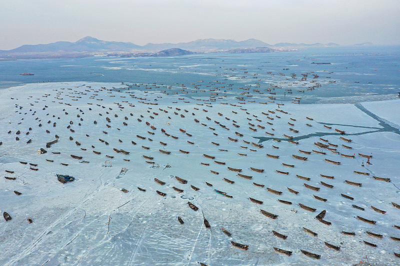 ????? ?????? ..  ???? ???? ?????? ??? ????? ??? ??? ????? ???????