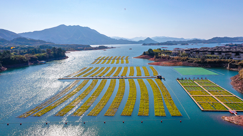 ????? ????? ?? ????? ???????? ???? ??????? ????????