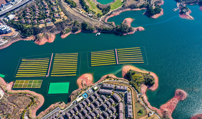 ????? ????? ?? ????? ???????? ???? ??????? ????????