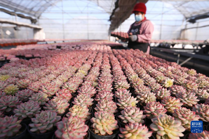 ????????????: ?????? 