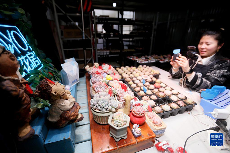 ????????????: ?????? 