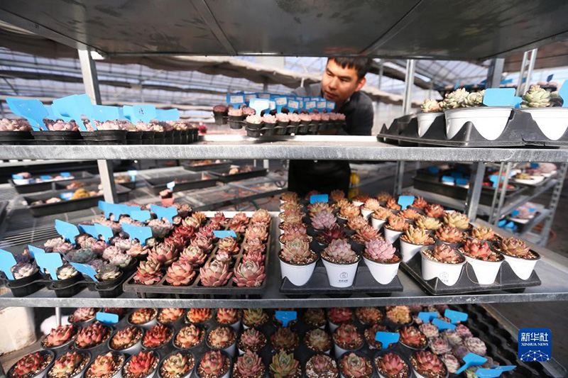 ????????????: ?????? 