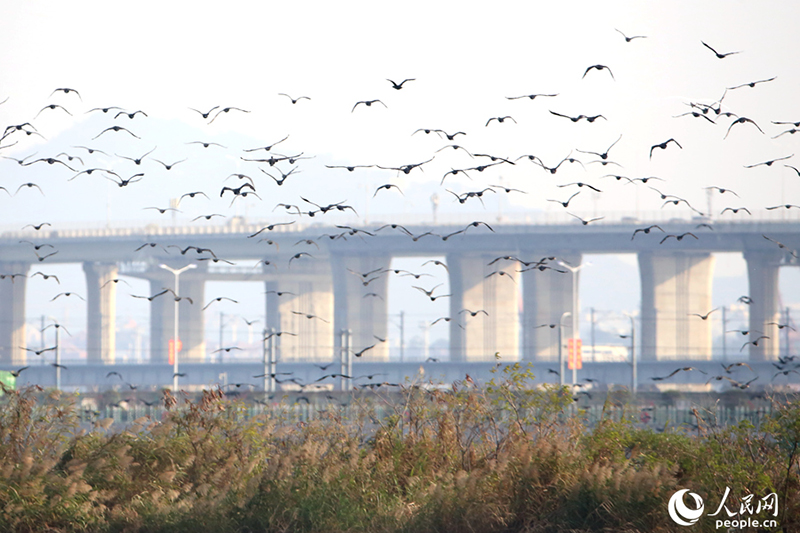 ????? .. ?? ???? ???? ..  ????? ?? ???? ????? ???????? ???? ????