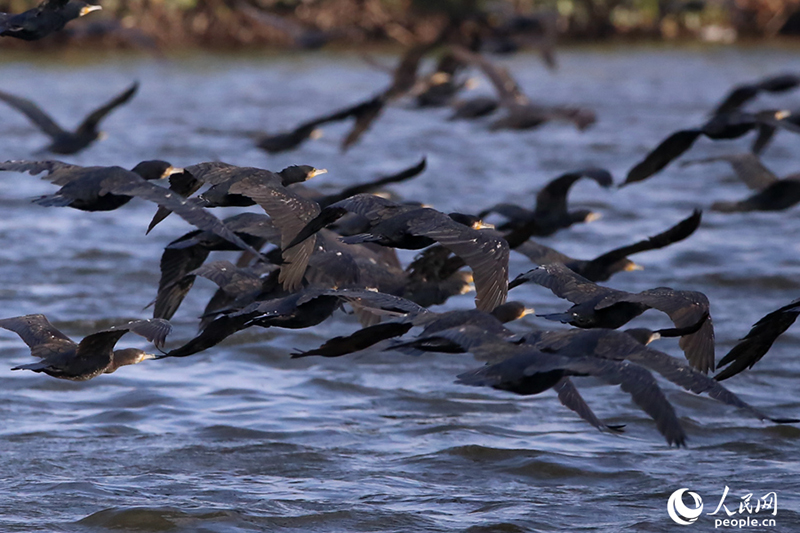 ????? .. ?? ???? ???? ..  ????? ?? ???? ????? ???????? ???? ????