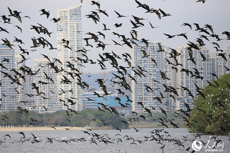 ????? .. ?? ???? ???? ..  ????? ?? ???? ????? ???????? ???? ????